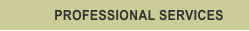 PROFESSIONAL SERVICES